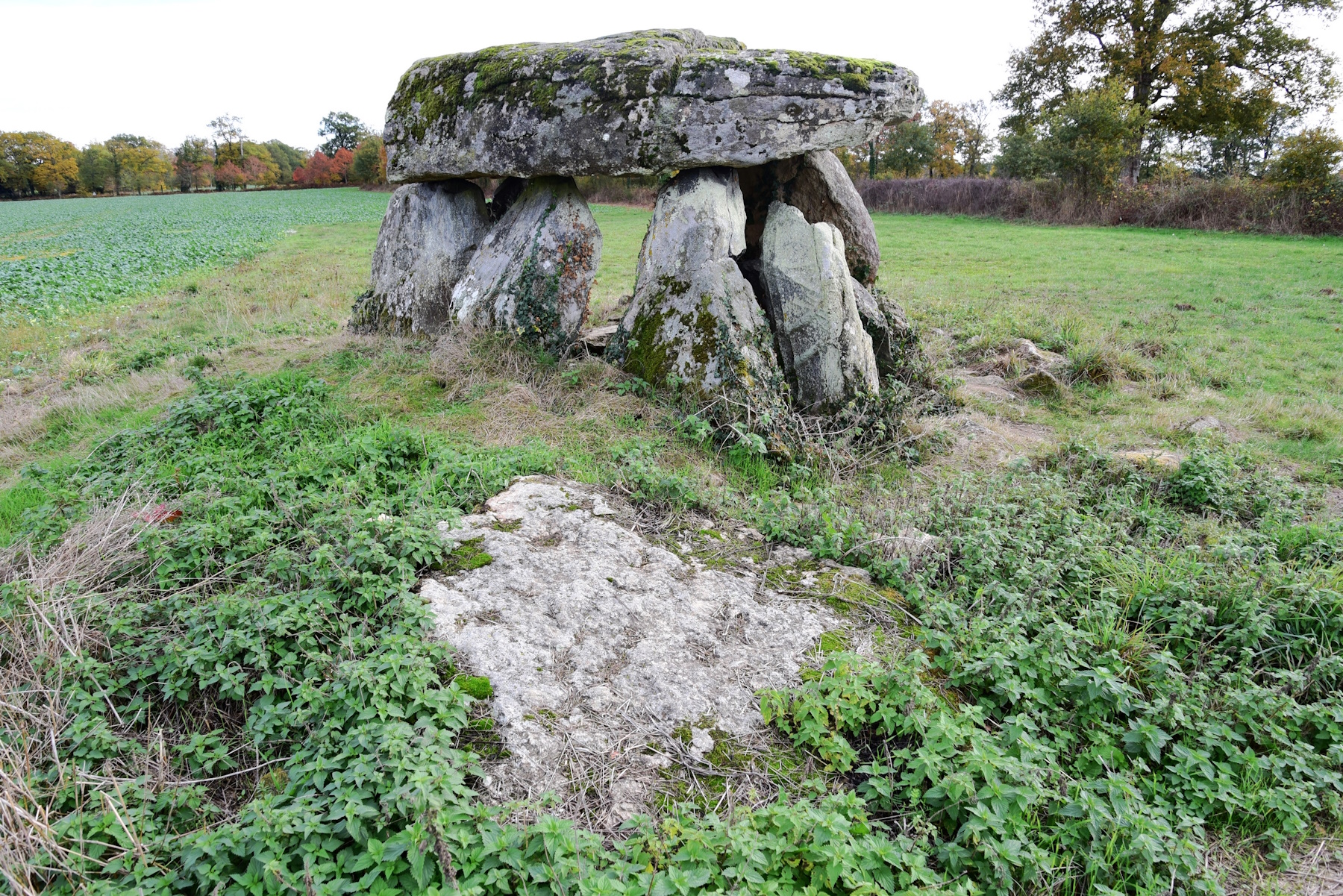 Dolmen de la Betoulle, Breuilaufa - photo 2