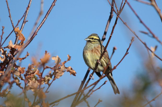 Plaines agricoles de Puymirol, Puymirol - photo 9