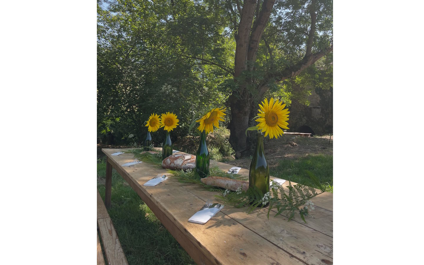 Visite de ferme et brunch à Itzalea