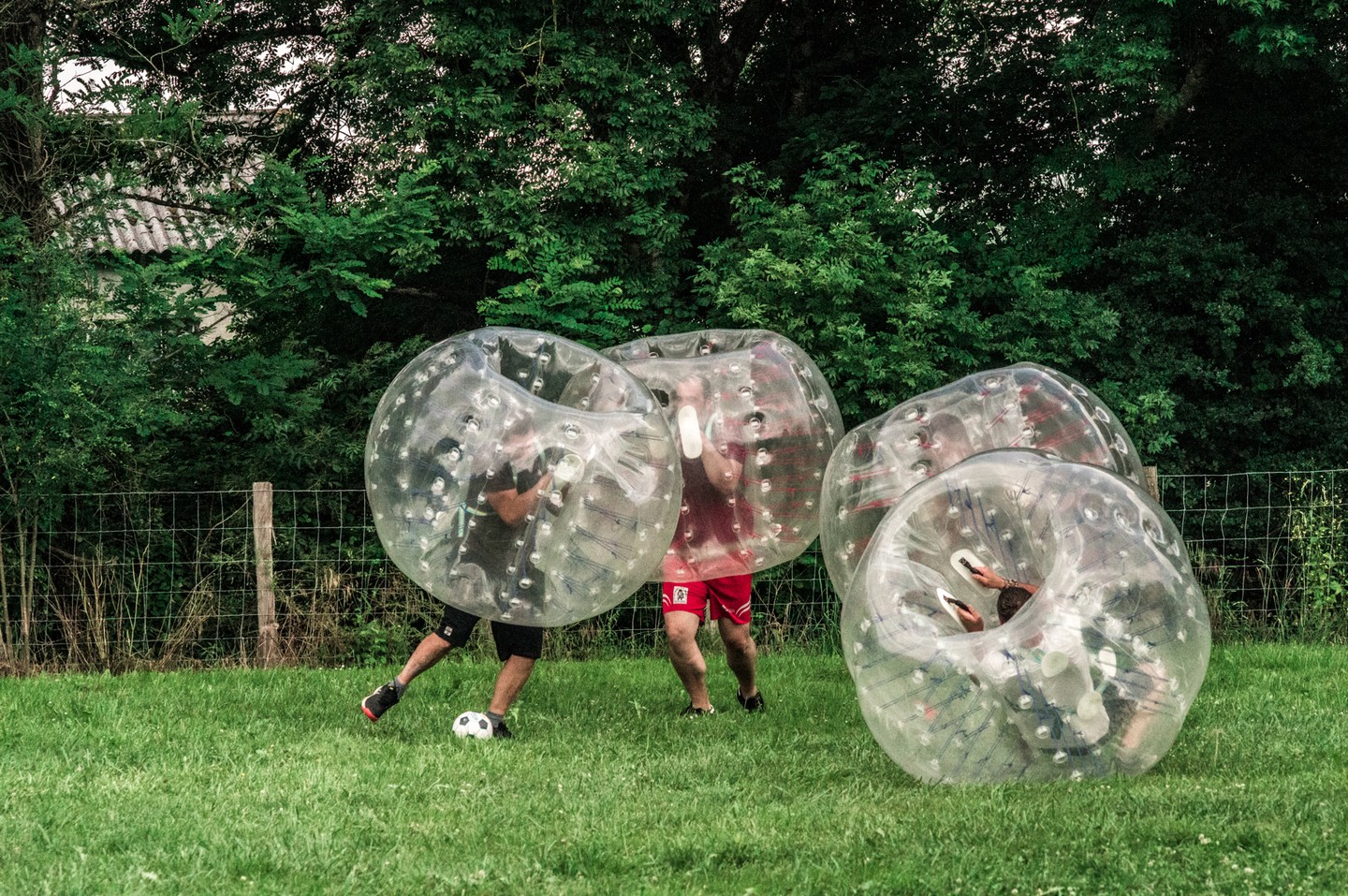 Expérience Béarn, Montfort - photo 4