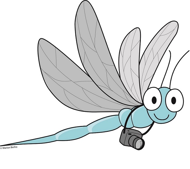 Chasse au trésor : les aventures de Bubulle à Hagetmau