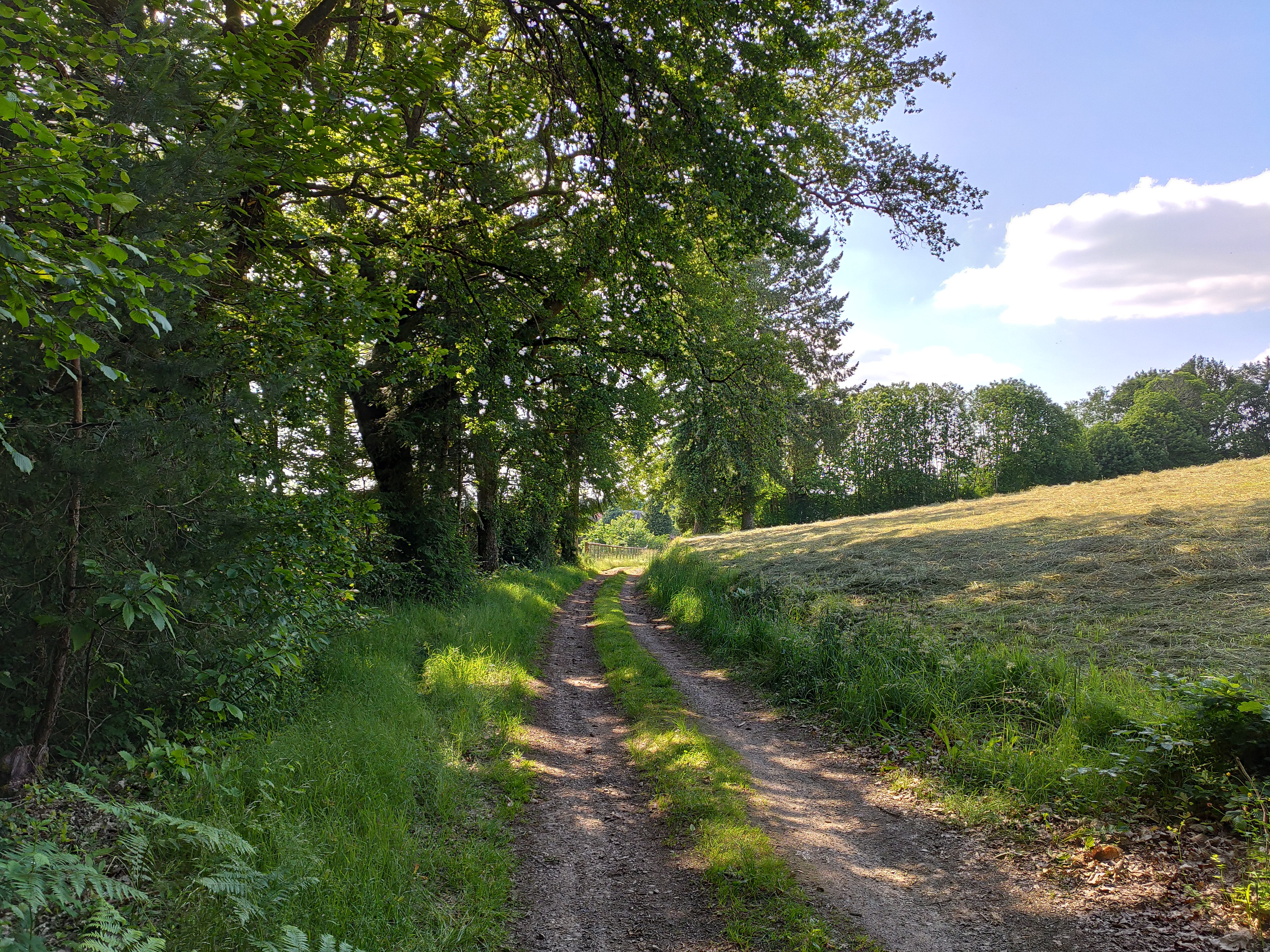 Sentier "Les Hauts de Bujaleuf", Bujaleuf - photo 5