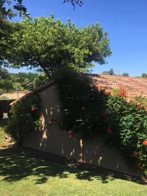 Bungalow les Thuyas, Eugénie-les-Bains - photo 18