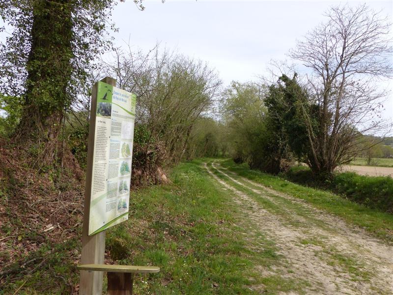 Maucor : du Pont Long aux coteaux à VTT