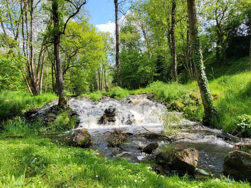 Plan d'eau communal de Busserolles, Busserolles