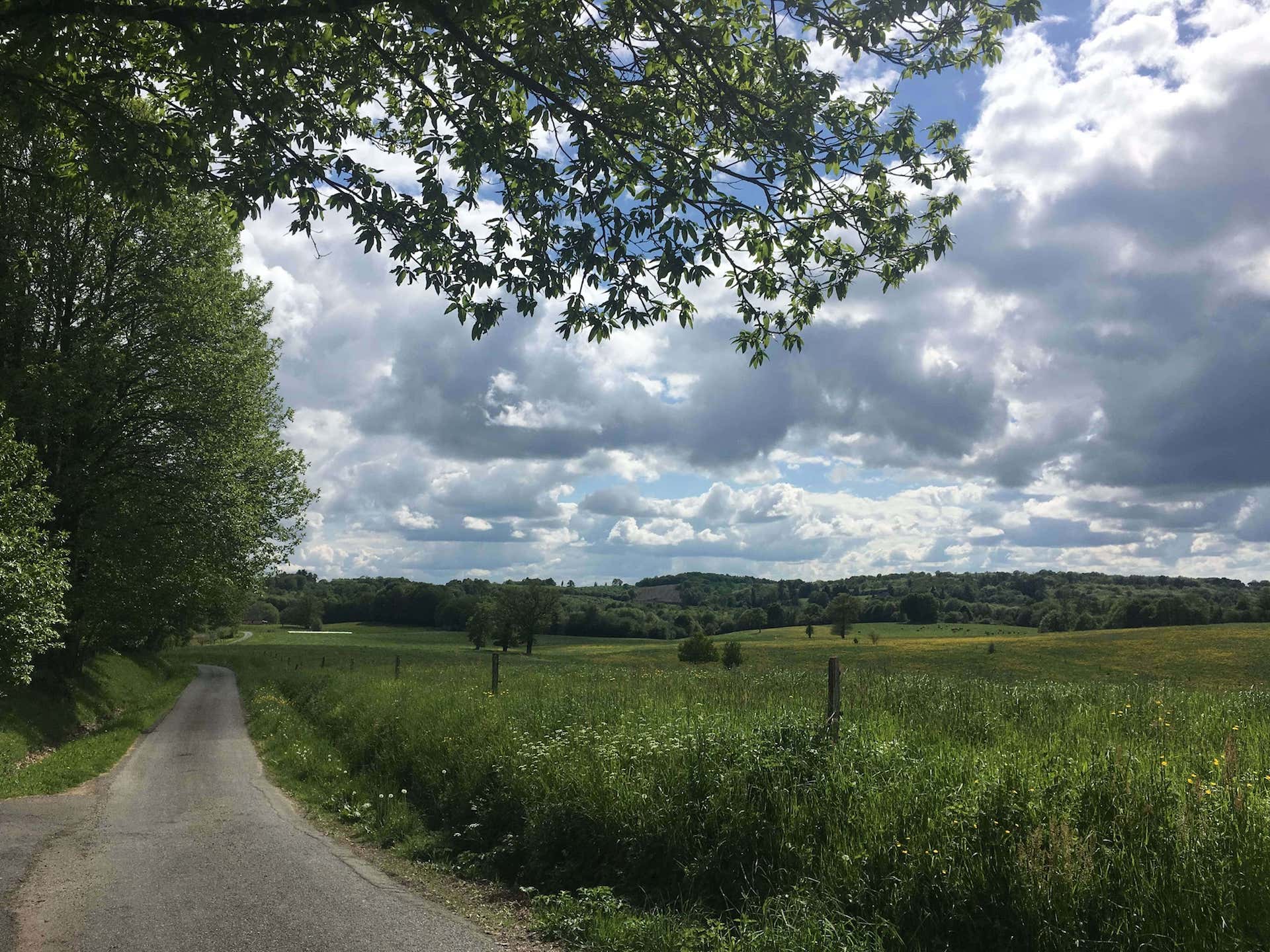 Etape 4 : De Saint-Hilaire-les-Places à Châlus