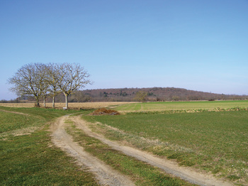 Butte de Moncoué
