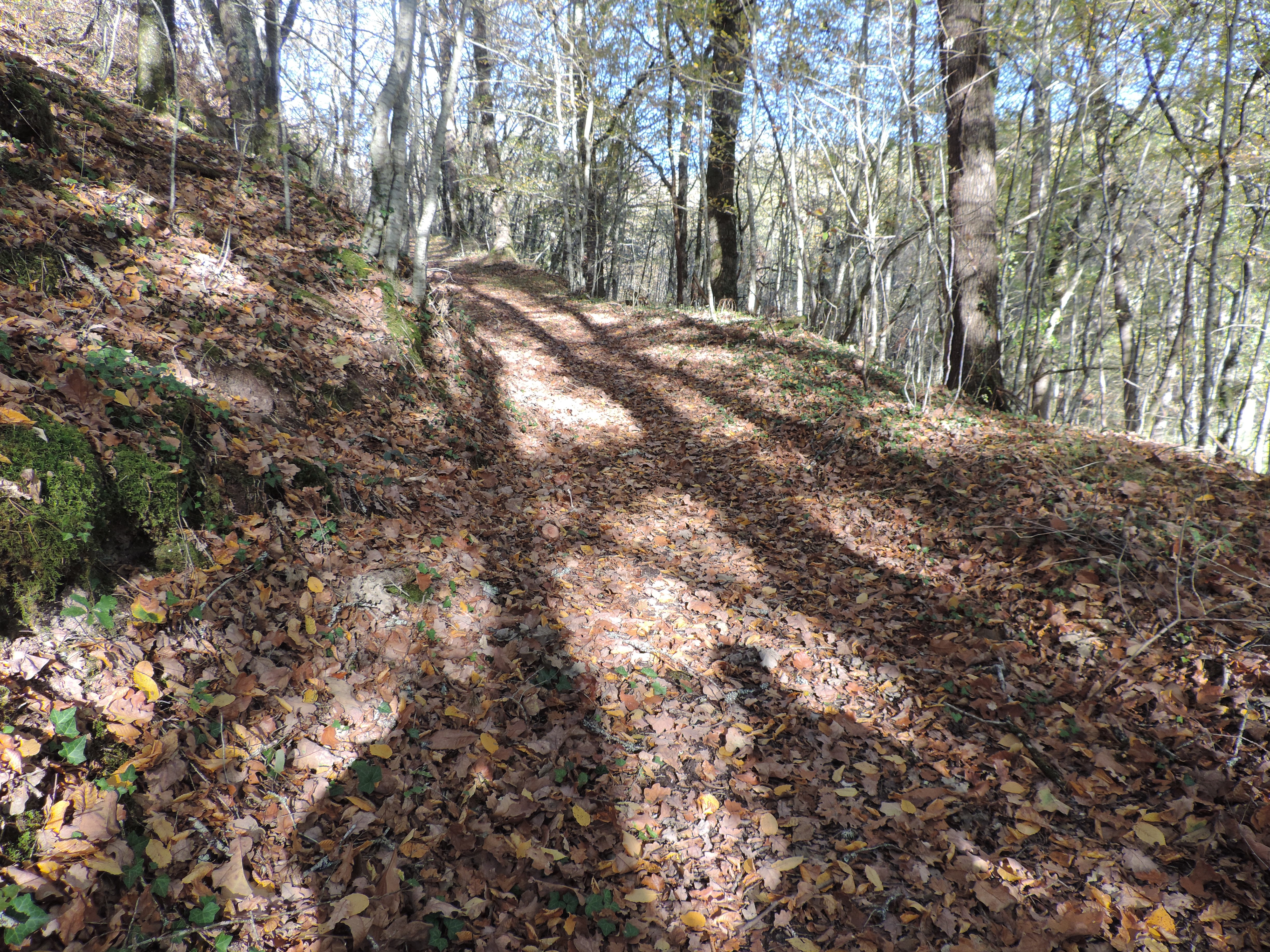 Chemin de la Queyrille, Queyssac-les-Vignes - photo 22