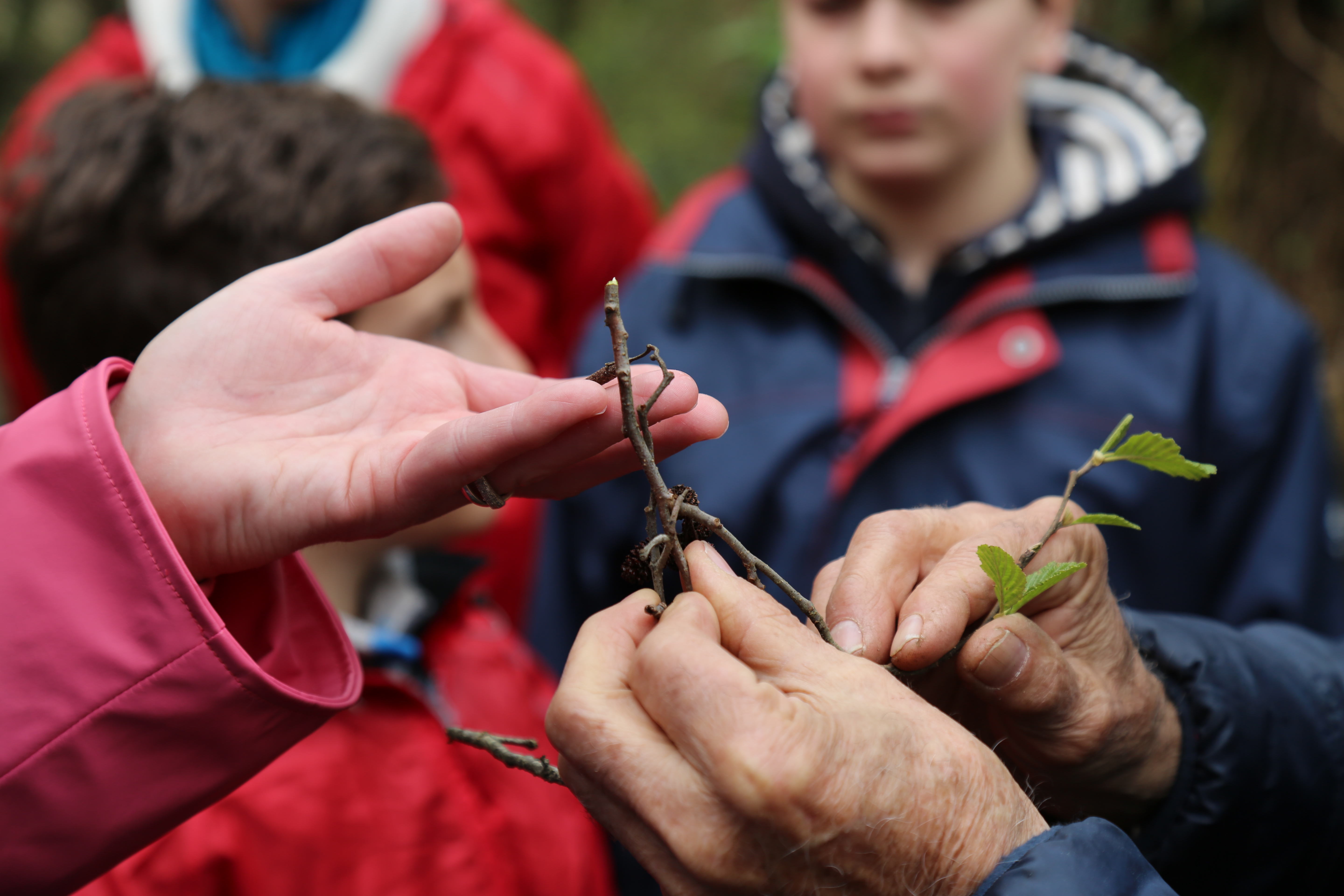 Les balades natures avec Jean, raconteur de pays