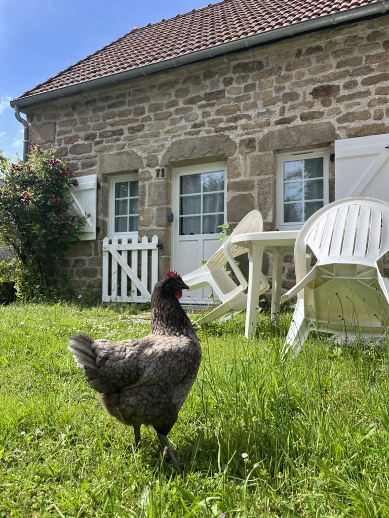 Gîte Le Fer à Cheval Vassivière 4 places - photo 2