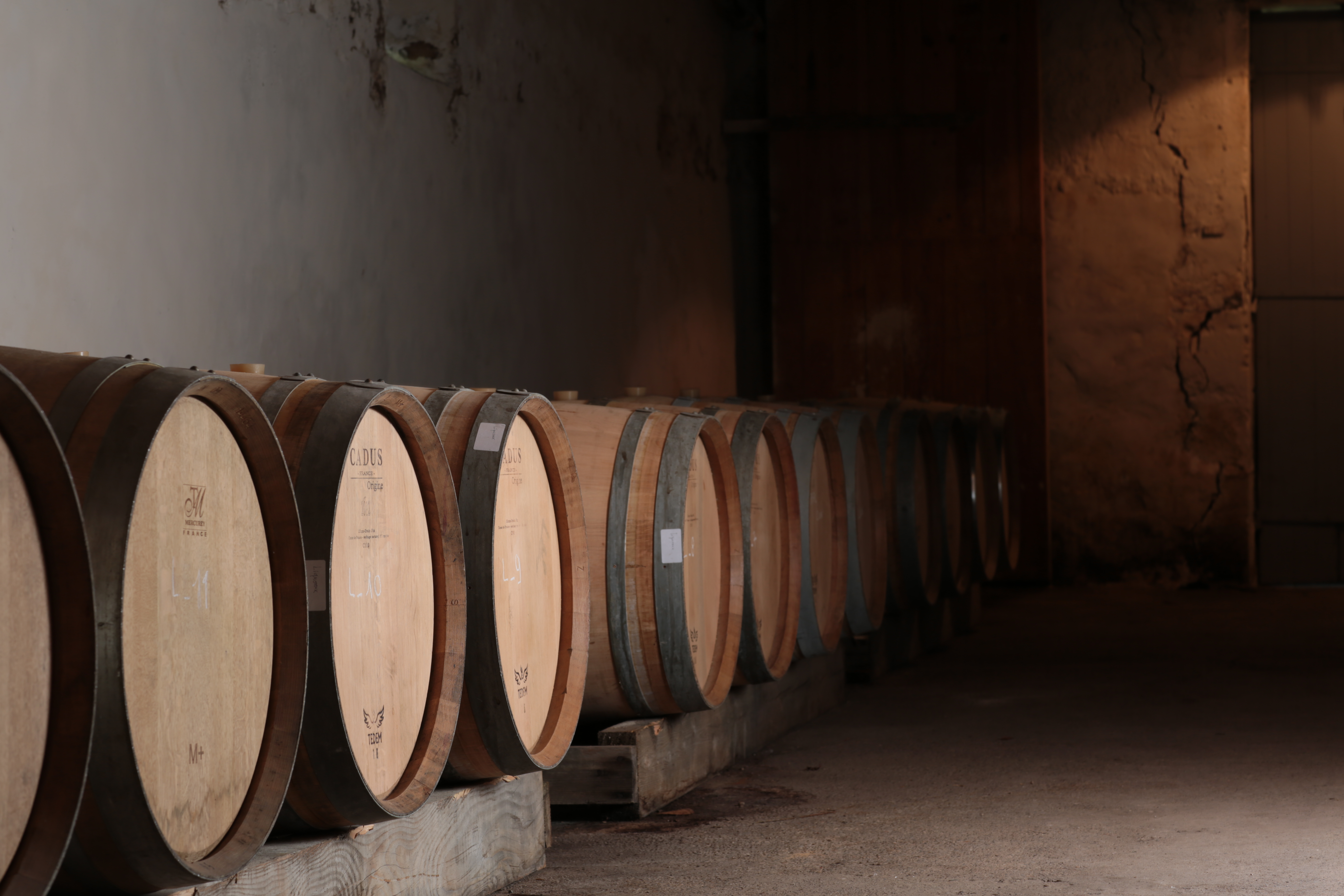 Château du Pavillon