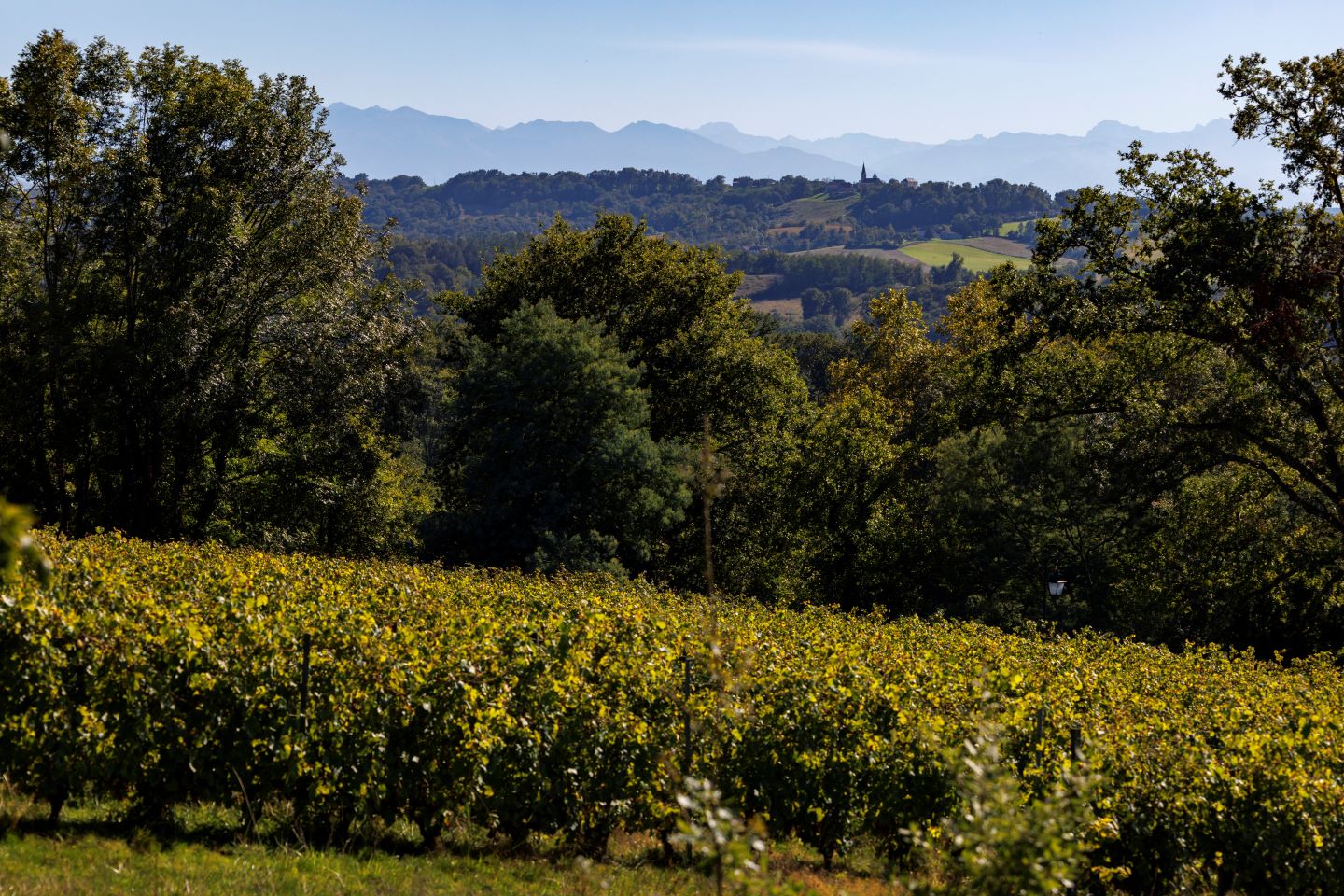 Cabidos : les Manoirs