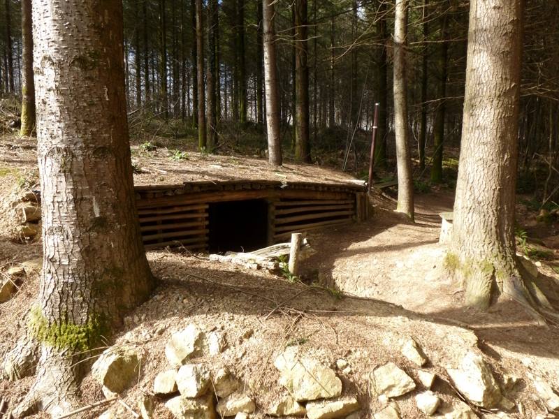 Terra Aventura : En poste dans la forêt de Boubon ! - photo 3