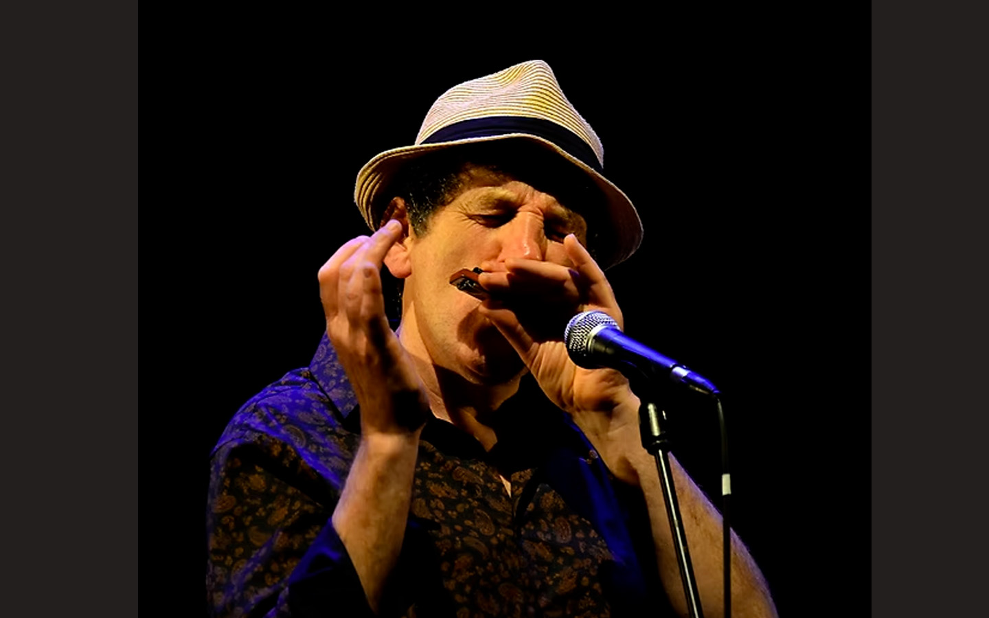 Concert apéro avec Cadijo