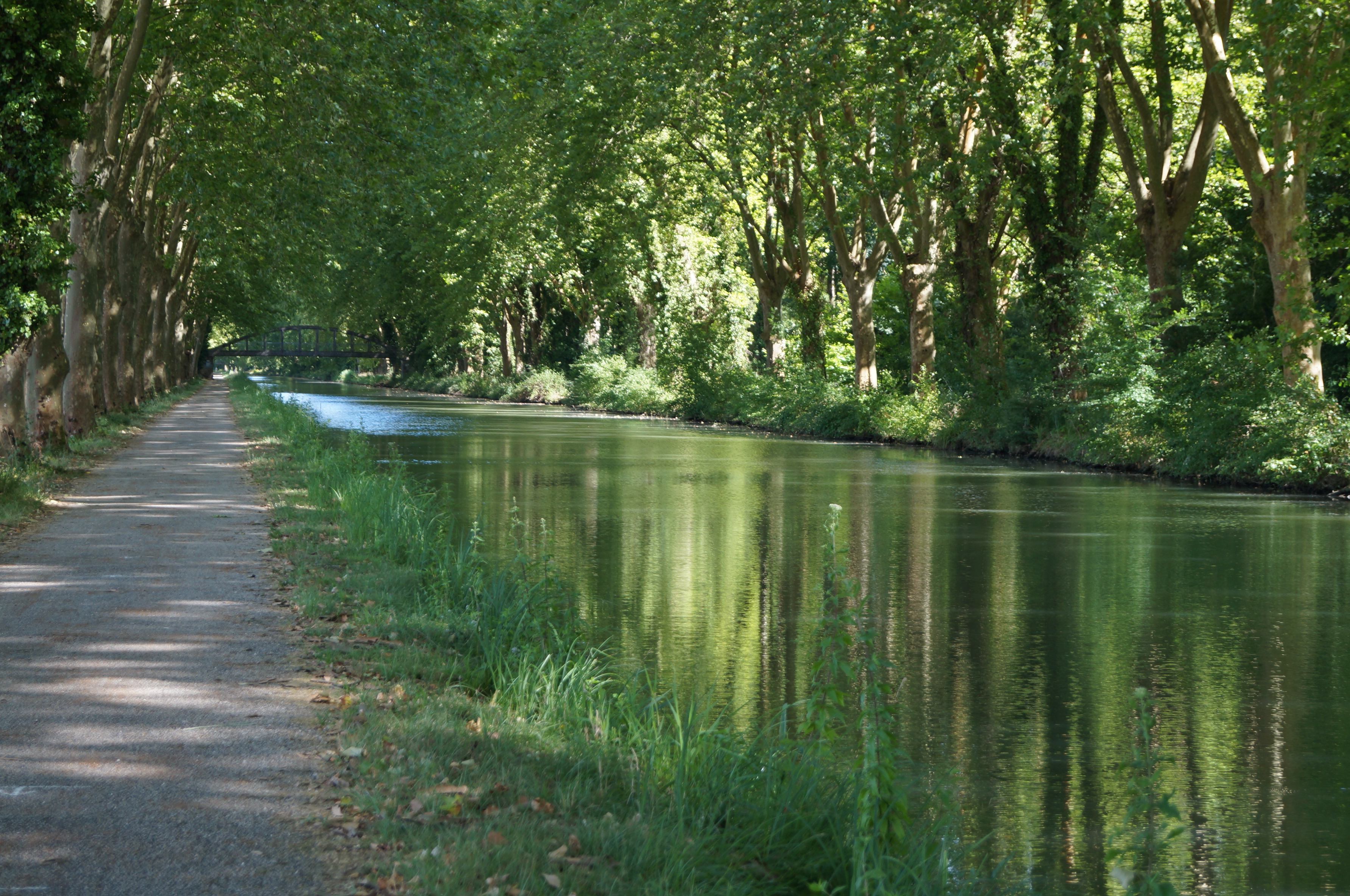 Gîte de Labrouche, Saint-Pardon-de-Conques - photo 10