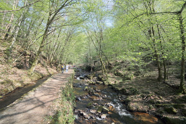 Canal des Moines, Aubazines - photo 5