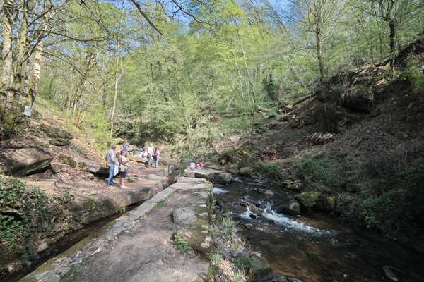 Canal des Moines, Aubazines - photo 2