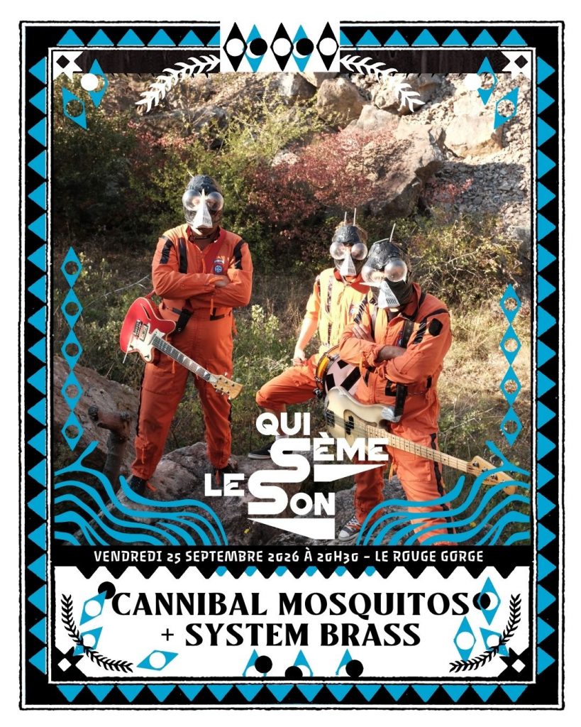 CANNIBAL MOSQUITOS + SYSTEM BRASS // Qui Sème Le Son par Diff'art