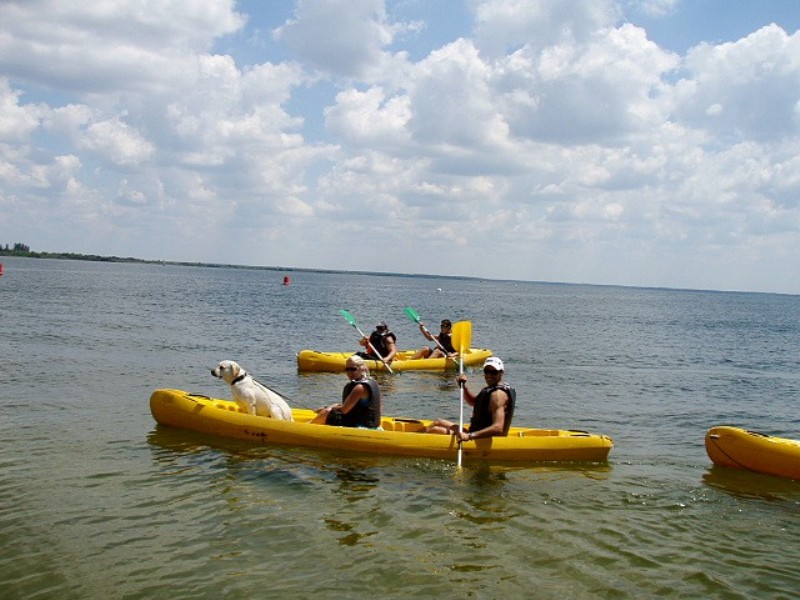 Cercle de voile de Cazaux