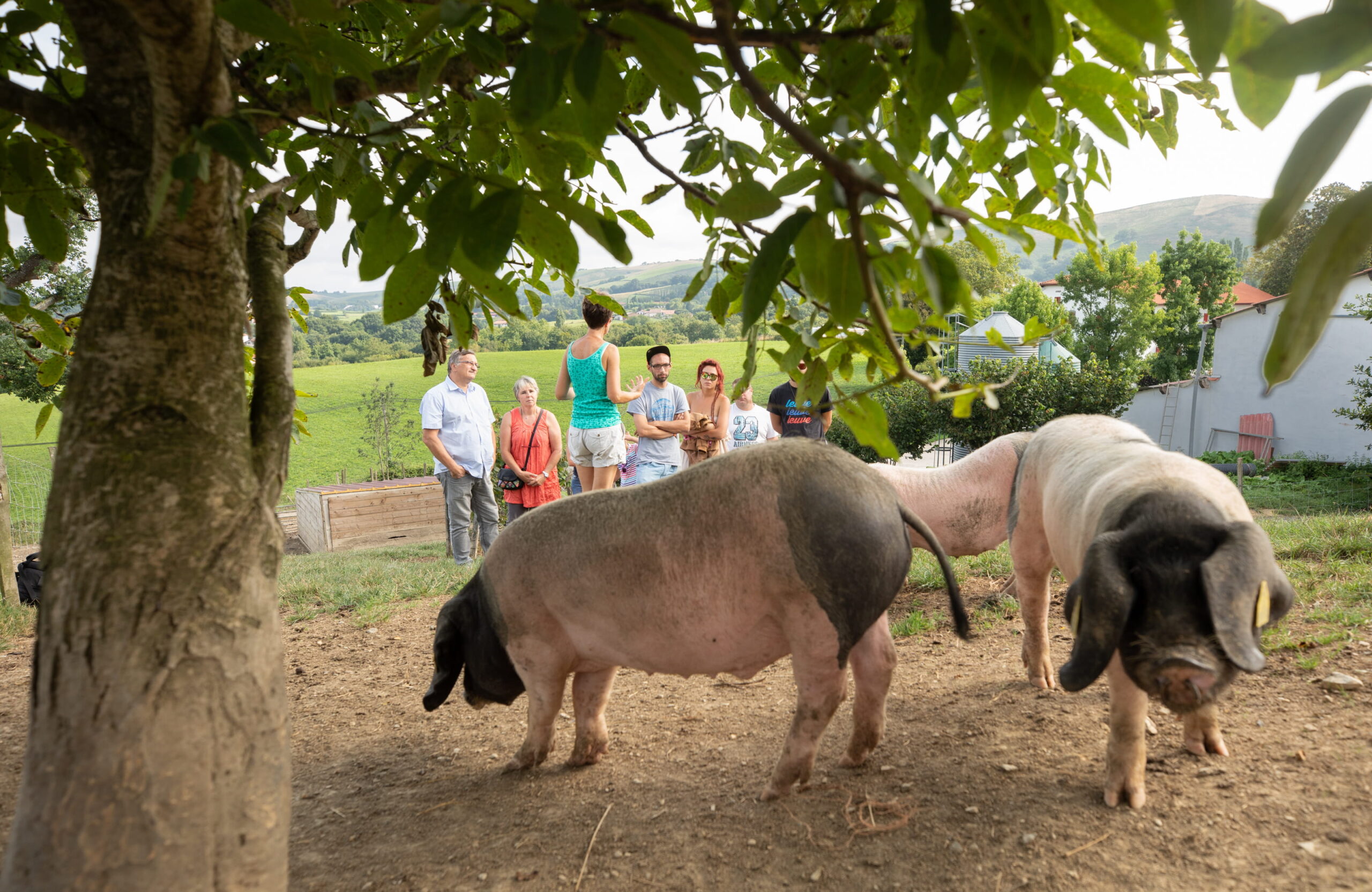 Ici, nos savoir-faire - Visite Ferme Agerria