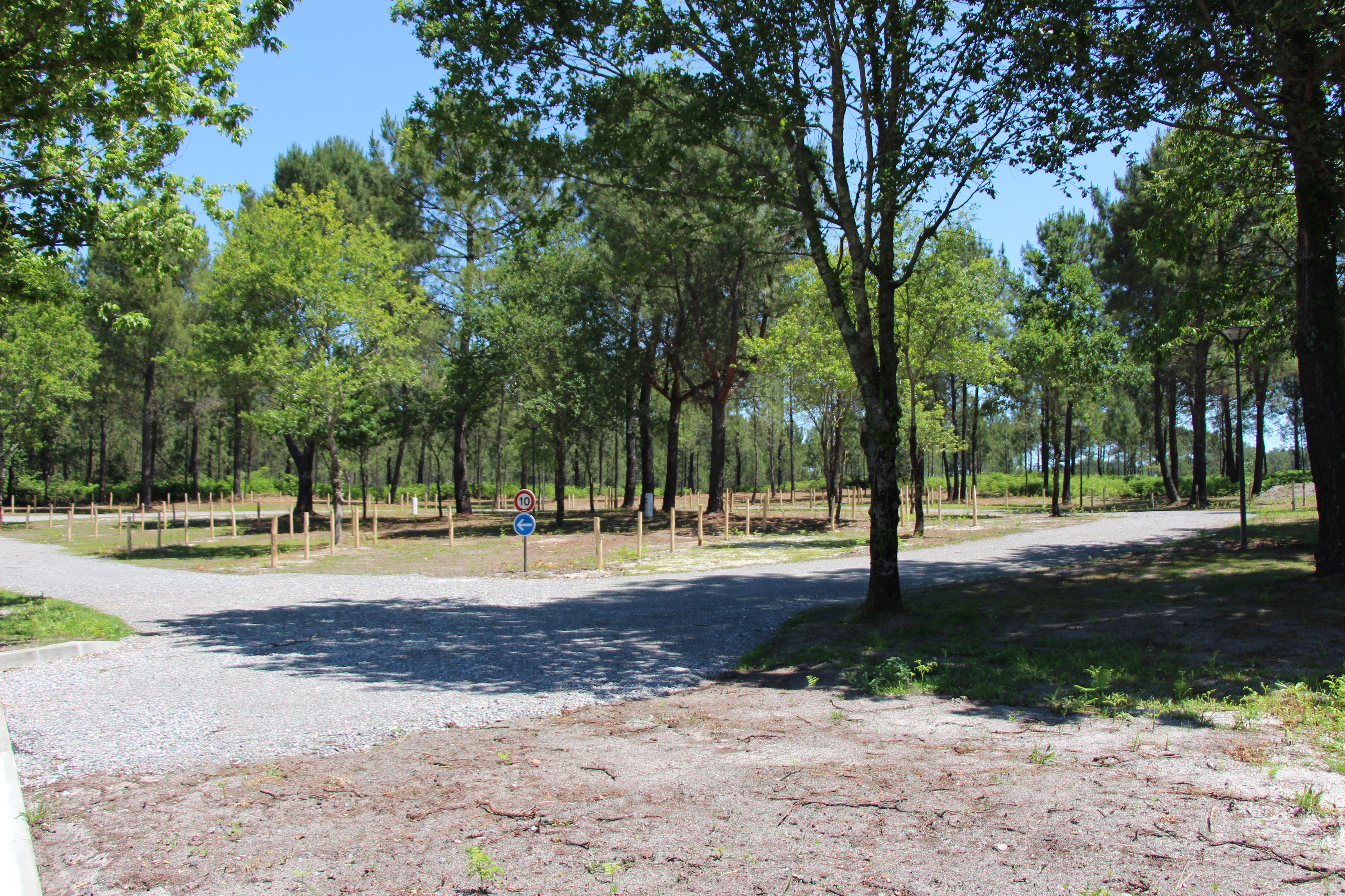 Aire de camping-cars de Castets, Castets - photo 6