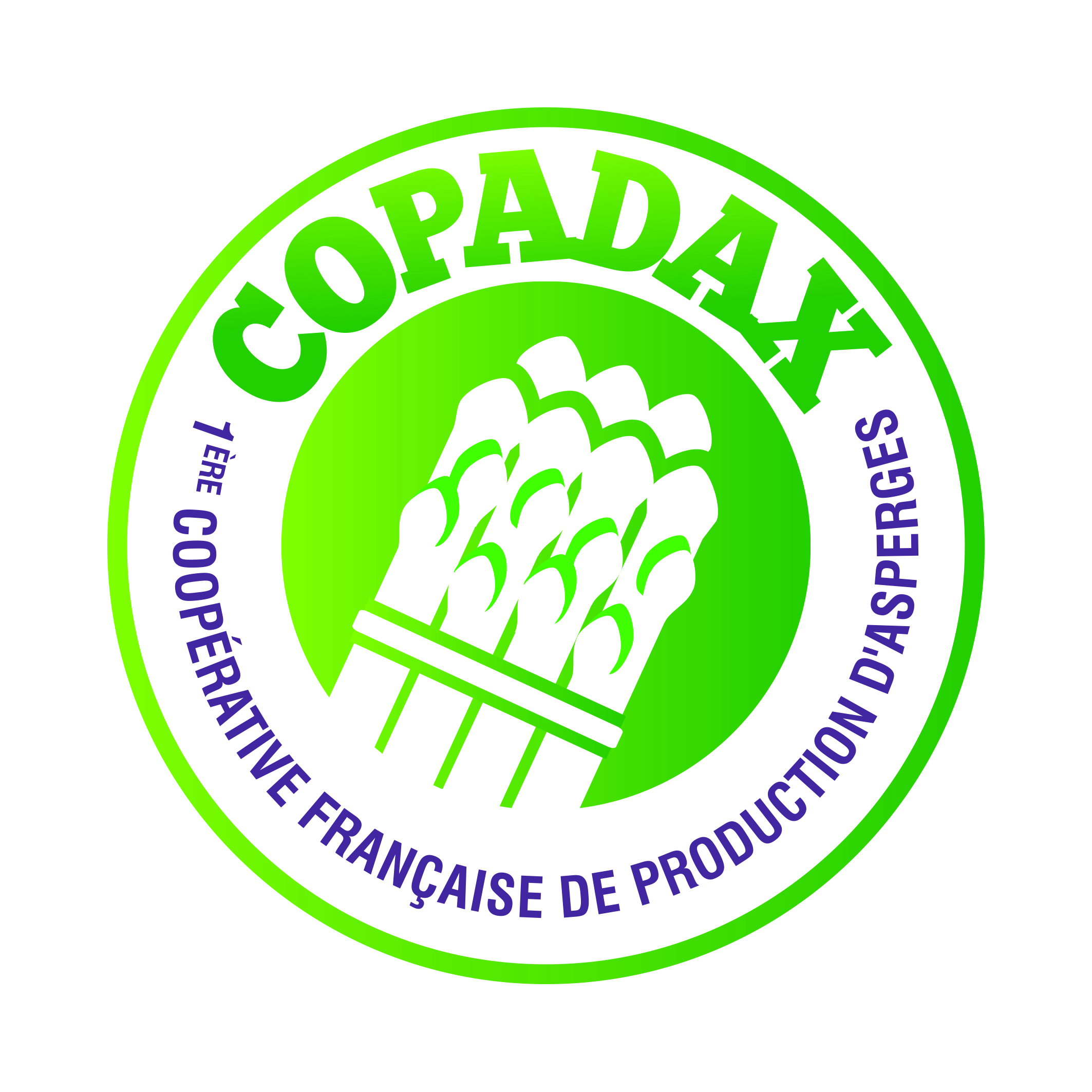Copa Dax — photo 2