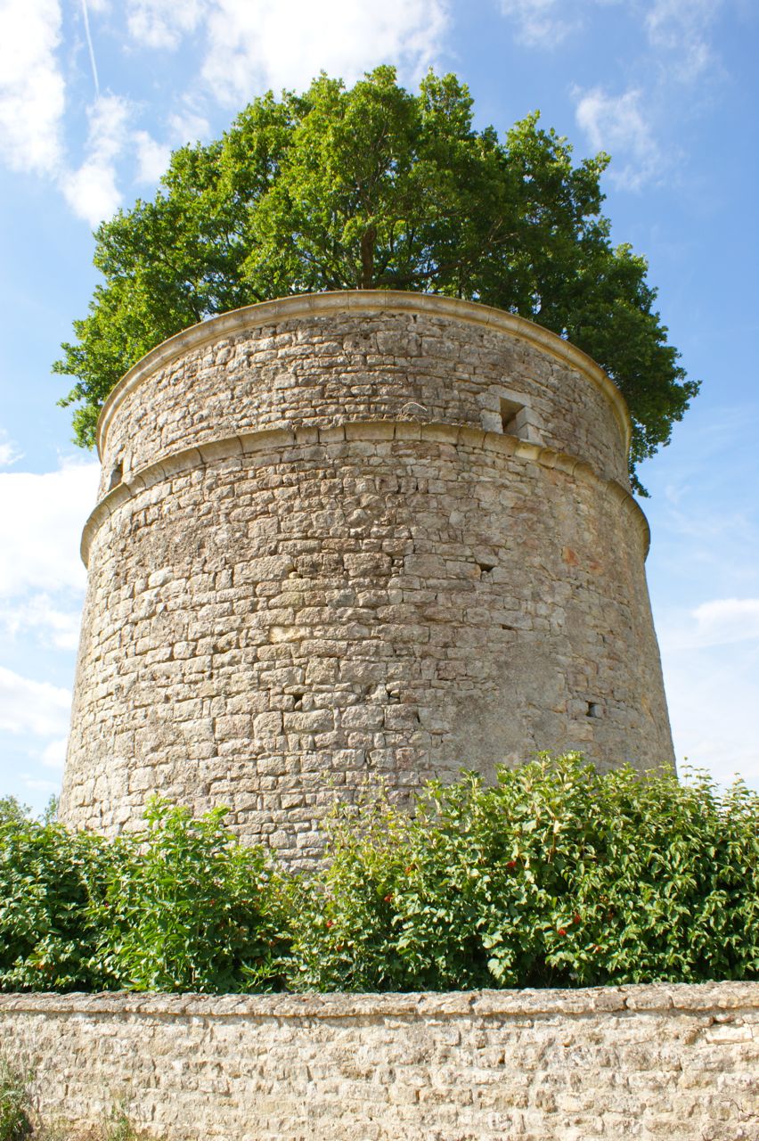 Pigeonnier de Pouzay, Béceleuf - photo 3