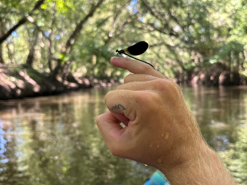 Coup de pagaie - photo 3