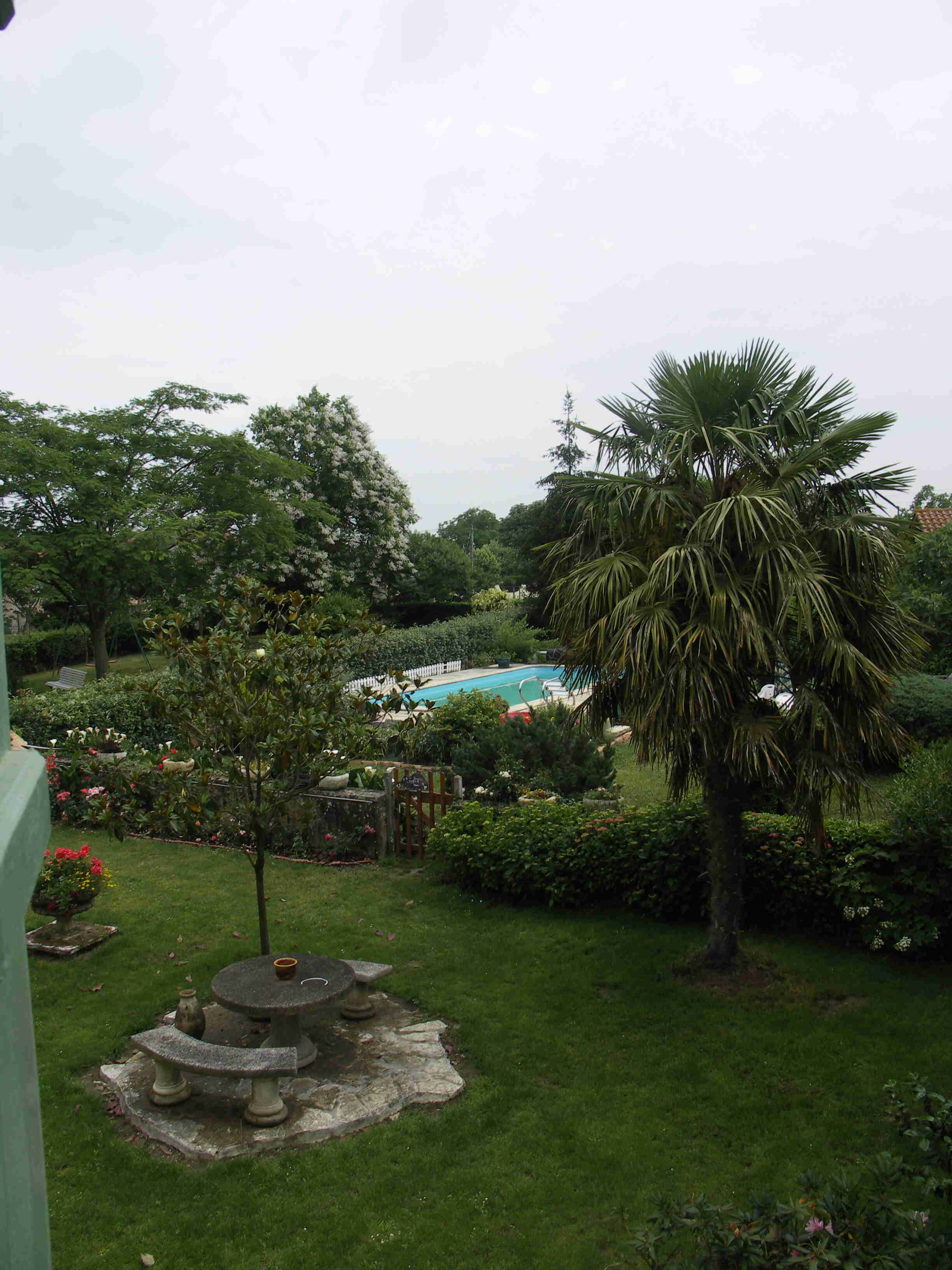 Les Papillons - photo 2