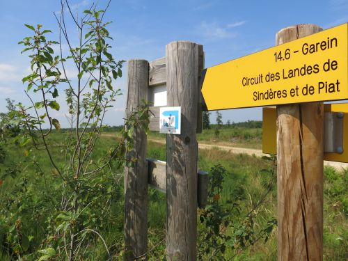 A Garein, la forêt inspiratrice, Garein