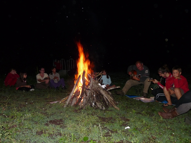 Centre Equestre Poney Club Elevage de l'Ile - photo 3