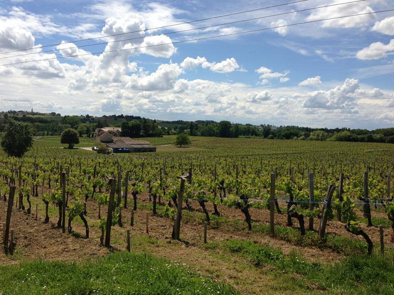 Taxi & Touring "A la carte"