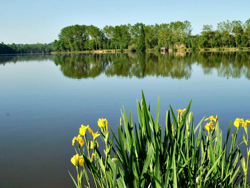Promenade à la découverte du lac de la Prade, Bazas - photo 4