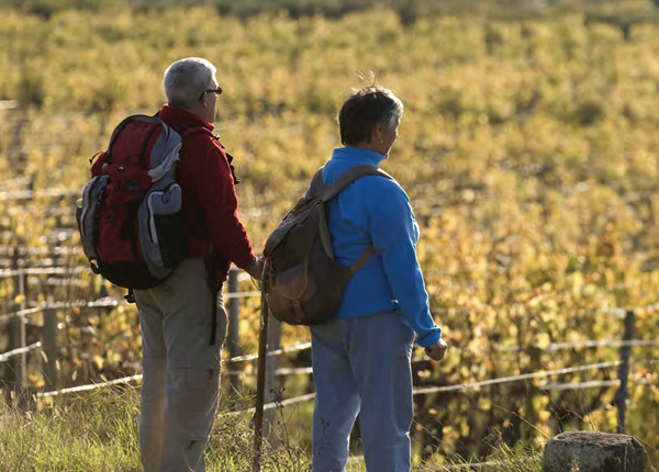 Boucle de Saint-Laurent-des-Combes à pied - Un vignoble en relief