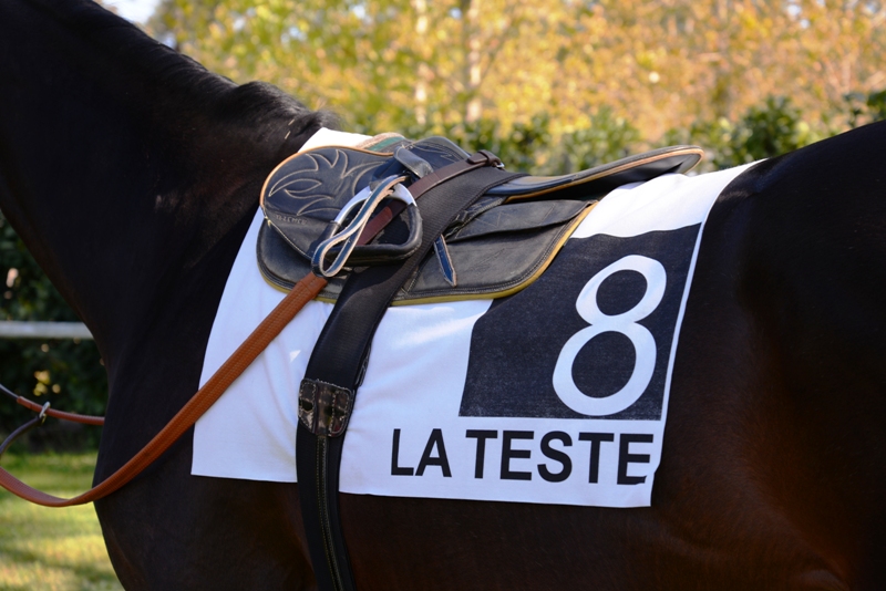 Hippodrome de La Teste de Buch