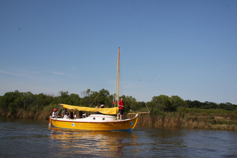 E-Marine (location de tilloles électriques – sans marin)