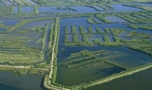 Vélodyssée - Bassin aux Landes - Domaine de Certes