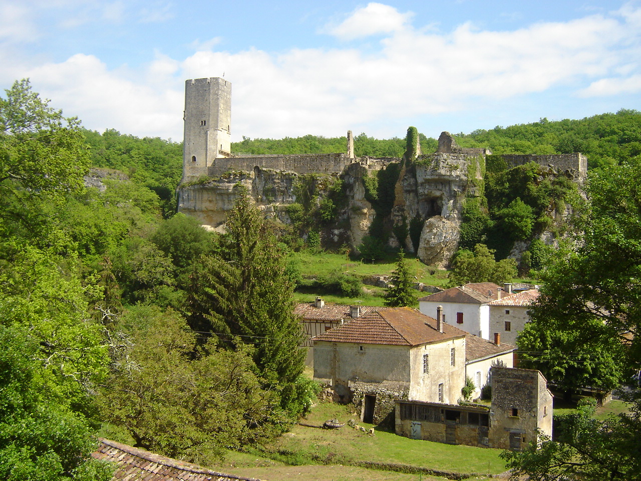 LCS Nature Evasion - photo 3