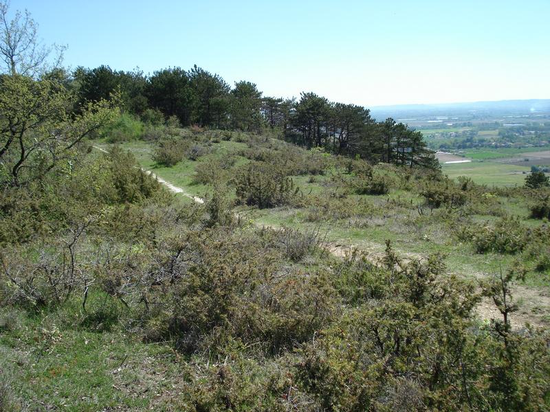 Le Coteau de Pinel, Pinel-Hauterive - photo 9