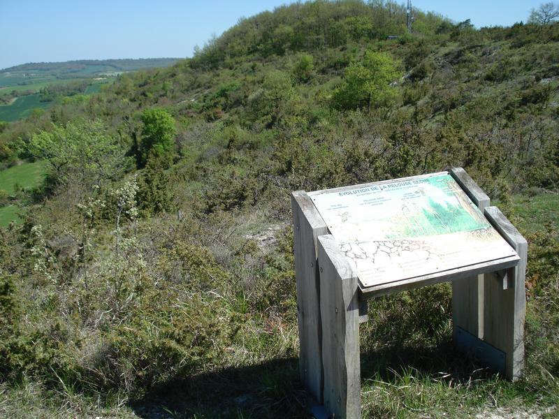 Le Coteau de Pinel, Pinel-Hauterive - photo 11