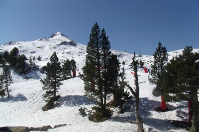 PESC119