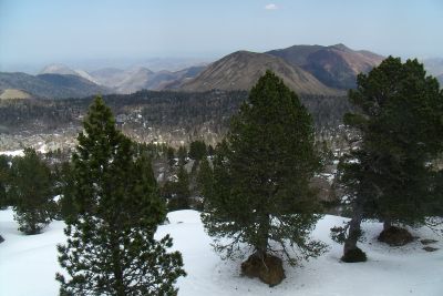 A112, Arette - photo 3