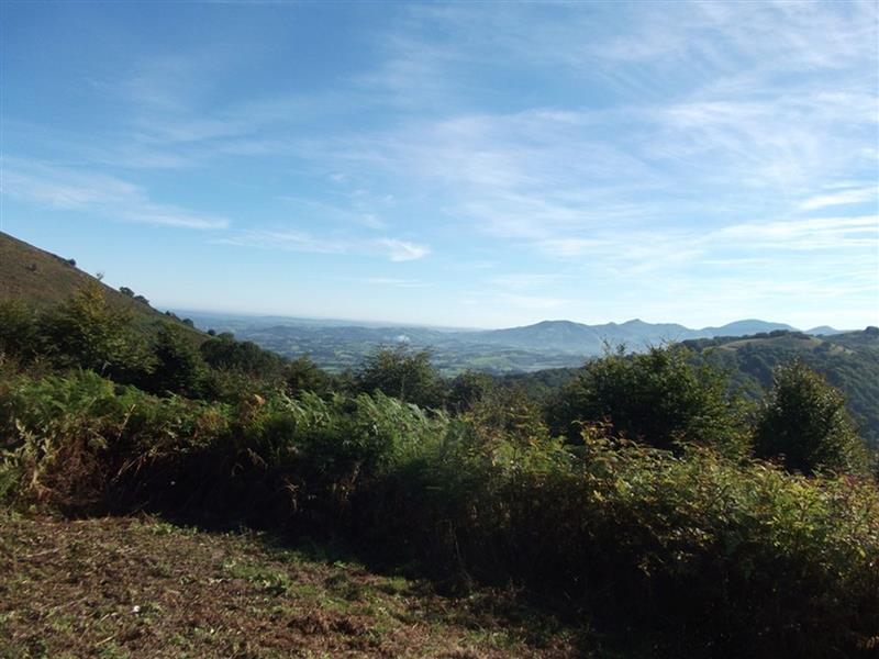 Venta Lizaieta