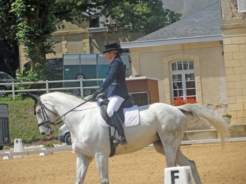 Ecuries Gilles Bordes, Sainte-Fortunade - photo 2
