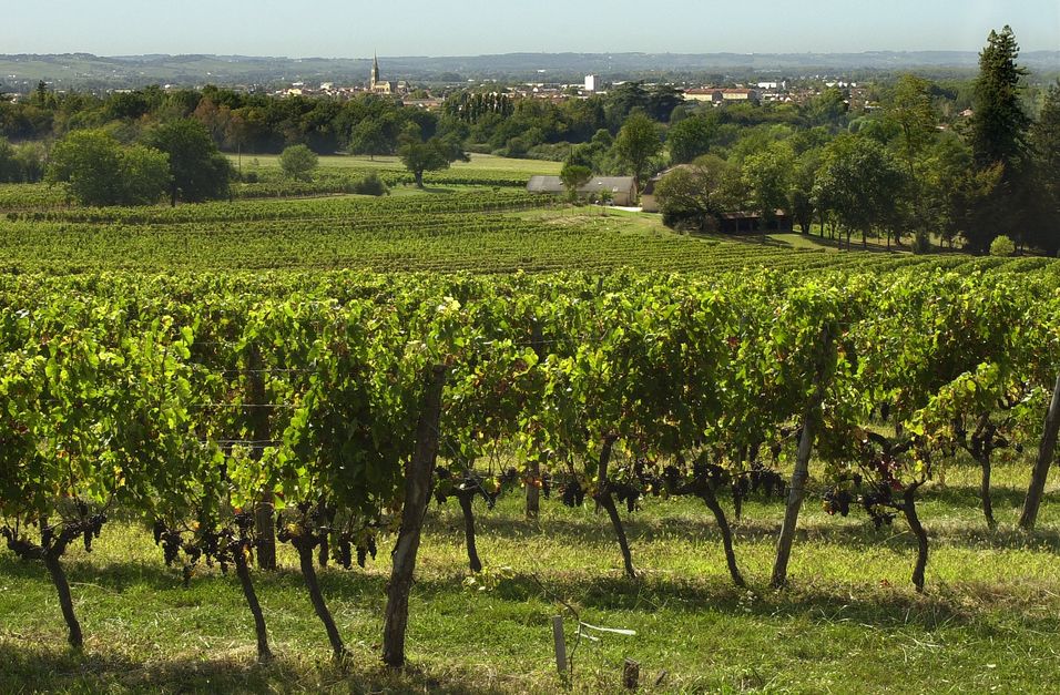 Château Beauportail