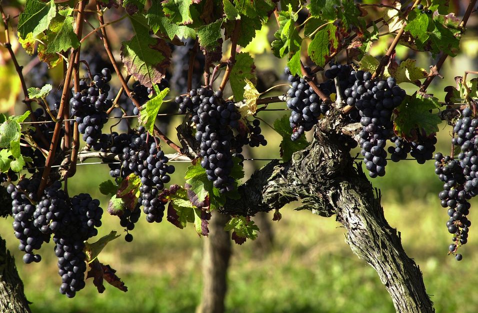 Château Beauportail
