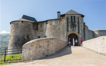 Château Fort de Mauléon 