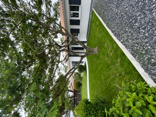 Villa Launa, Gujan-Mestras - photo 5