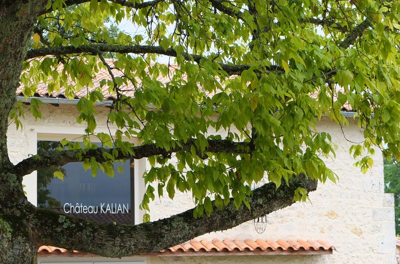 Château Kalian