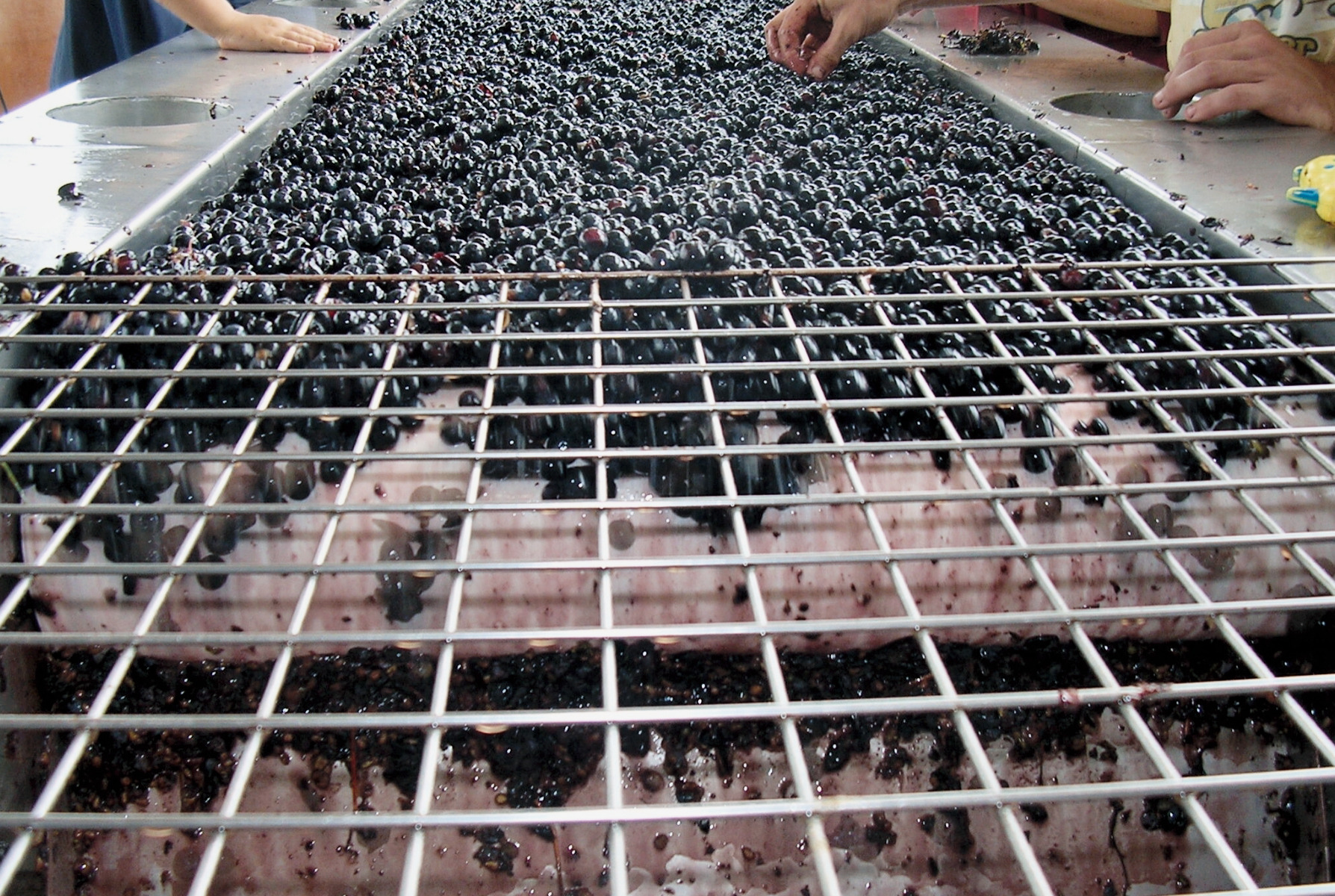 Château Tour Grand Faurie - photo 4